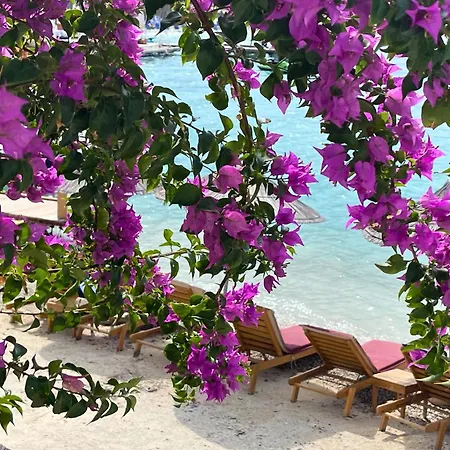 Manta Hotel