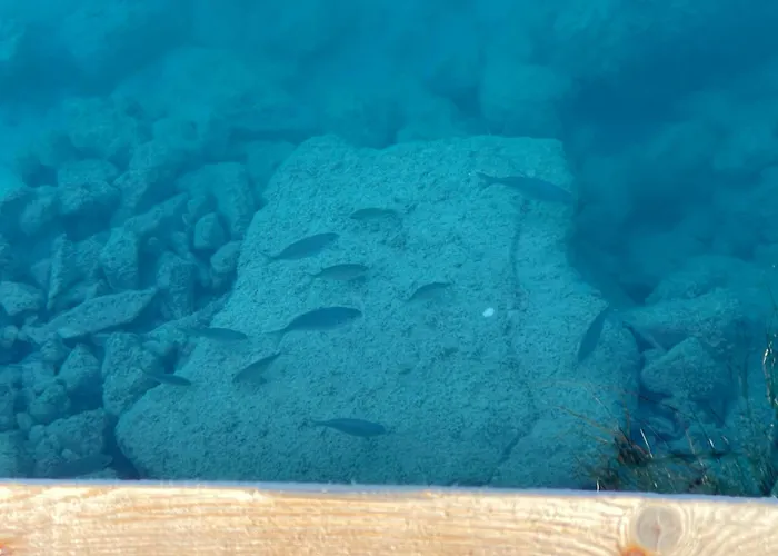 Ξενοδοχείο Manta 4*